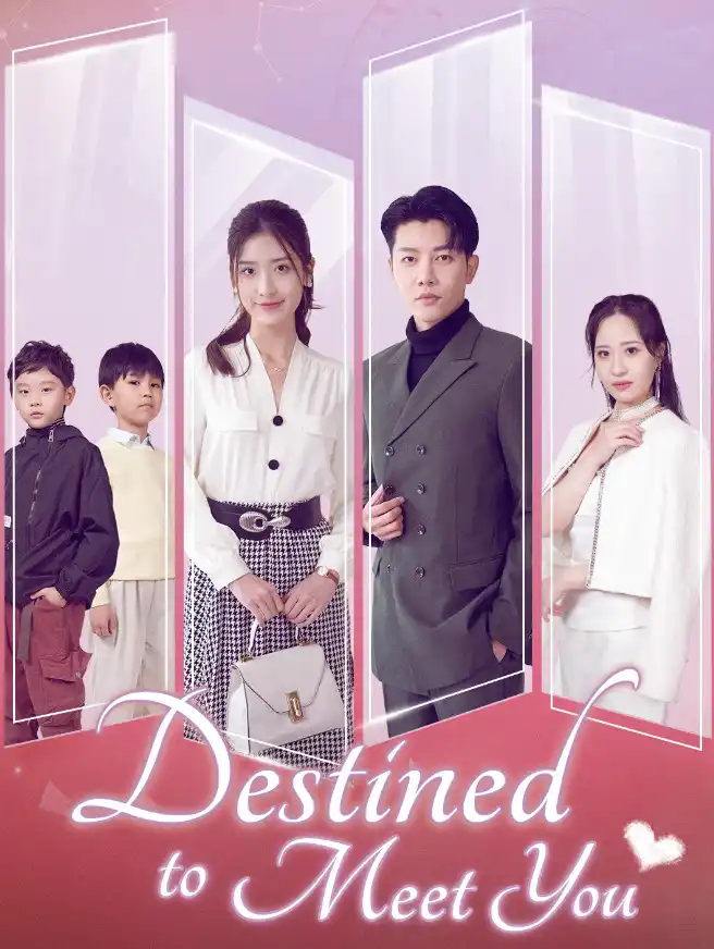 Destined to Meet You Cover