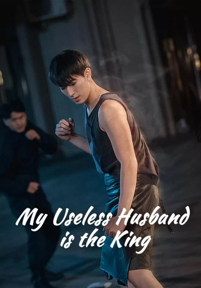 My Useless Husband is the King Cover