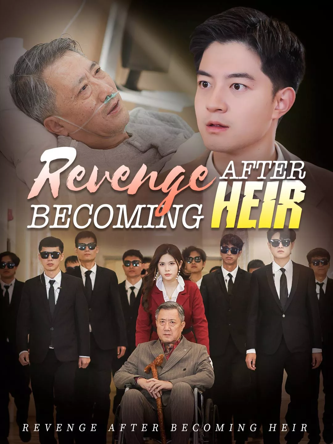 Revenge after Becoming Heir Cover